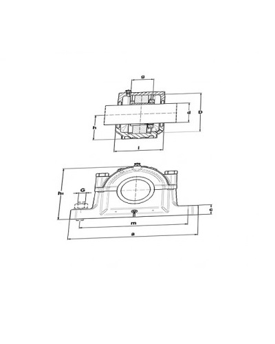 SNC207-306